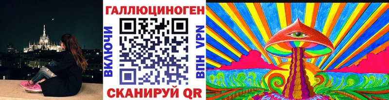 Галлюциногенные грибы Psilocybe  Котельнич 